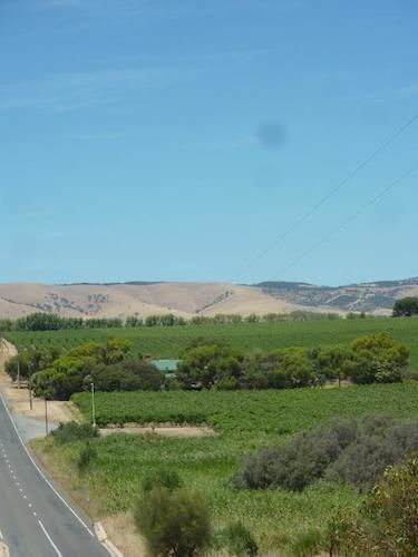 Amande Bed&Breakfast Mclaren Vale Exteriör bild