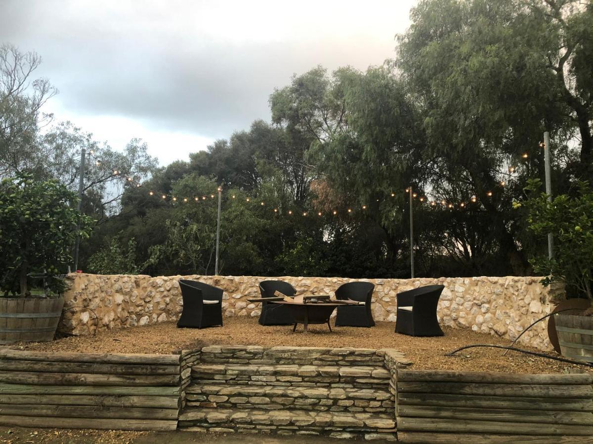Amande Bed&Breakfast Mclaren Vale Exteriör bild